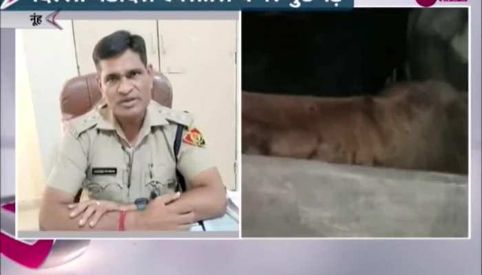 Nuh Crime Video: गौ तस्करों ने पुलिस पर की फायरिंग, मुठभेड़ में एक आरोपी को लगी गोली