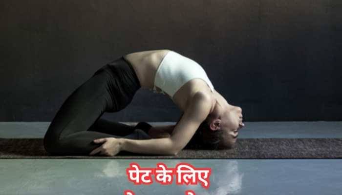 Yoga Poses Inspired from Nature and Animals – Change Started