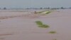Ghaggar Water Level News: ਲਗਾਤਾਰ ਮੀਂਹ ਪੈਣ ਤੋਂ ਬਾਅਦ ਮੁੜ ਘੱਗਰ ਉਫ਼ਾਨ 'ਤੇ, ਕਿਸਾਨ ਚਿੰਤਤ 