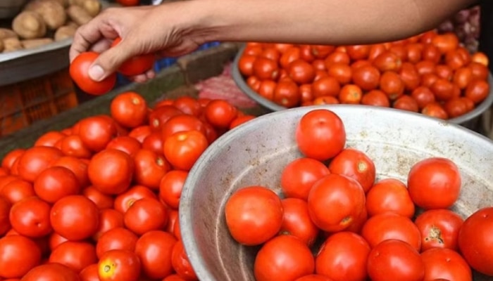 Tomato Price: 15 अगस्त से टमाटर की कीमत होगी कम, यहां मिलेंगे 50 रुपये प्रति किलो