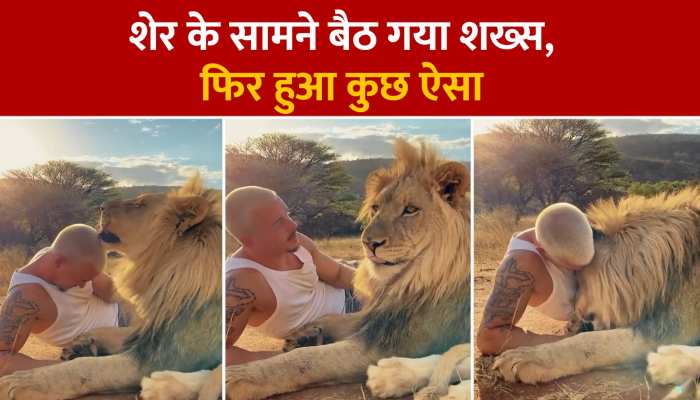 Viral Video: शेर के सामने बैठ गया शख्स, फिर हुआ कुछ ऐसा....देखें वीडियो Viral Video: शेर के सामने बैठ गया शख्स, फिर हुआ कुछ ऐसा....देखें वीडियो