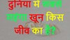 Quiz: दुनिया में सबसे महंगा खून किस जीव का है?