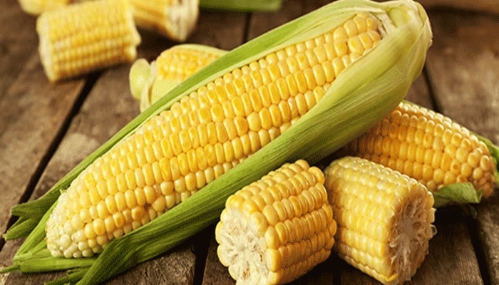 sweet corn
