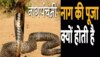 Nag Panchami 2023: नागपंचमी के दिन की जाती है नागों की पूजा और पिलाया जाता है दूध, जानिए कैसे पड़ी ये परंपरा