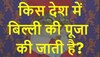 Quiz: किस देश में बिल्ली की पूजा की जाती है?