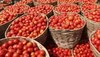 Tomato Price Update: नेपाल का टमाटर आने से नीचे आए रेट, र‍िटेल मार्केट में इतने रुपये क‍िलो हुई कीमत