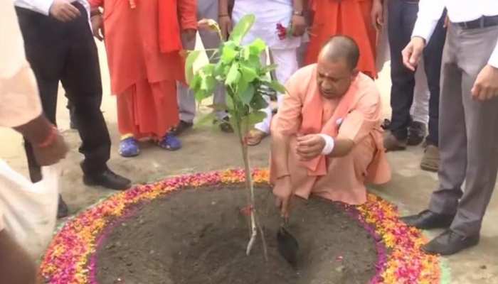 पौधरोपण के महाअभियान में शीशम-सागौन ने मारी बाजी, यूपी में रिकॉर्ड 36 करोड़ पौधे लगे