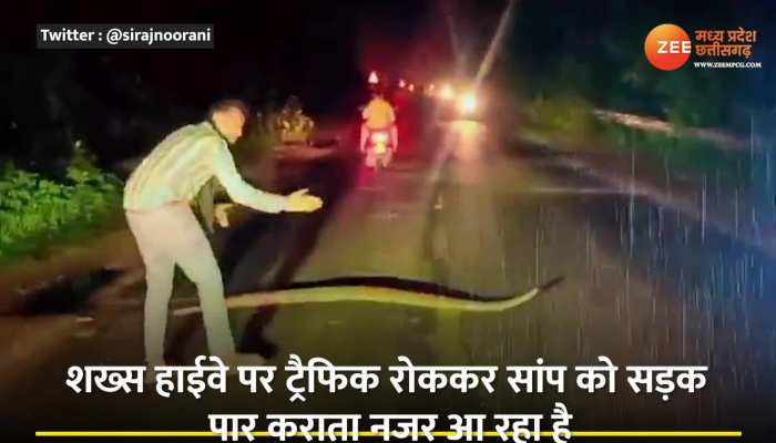 Viral Video: युवक ने 10 फीट लंबे सांप को ताली बजाकर पार कराई सड़क, वीडियो हुआ वायरल