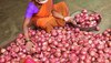 Onion Price: महंगी प्‍याज से म‍िलेगी राहत! सरकार ने क‍िसानों को मनाया, कल सुबह से होगा यह काम