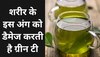 Green Tea Side Effects: क्या आप वजन घटाने के लिए पीते हैं ग्रीन टी? इस बात का रखें ध्यान वरना खराब हो जाएगा लिवर