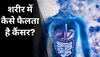 Cancer: शरीर में किस कारण तेजी से फैलता है कैंसर? वैज्ञानिकों ने तलाशी वजह