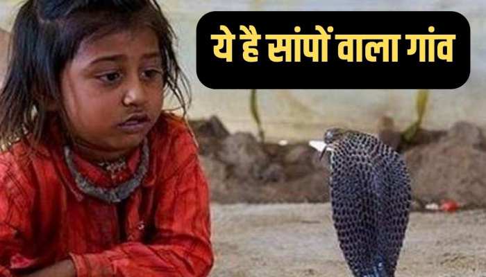 इस गांव के हर घर में रहते हैं कई सांप, नागों को गले पर लपेट लेते हैं बच्चे