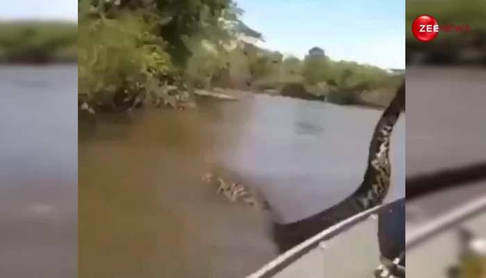 अफ्रीकन नदी में शख्स की बोट के नीचे आ गया अबतक का सबसे बड़ा एनाकोंडा, फिर जो हुआ नींद उड़ा देगा वीडियो 