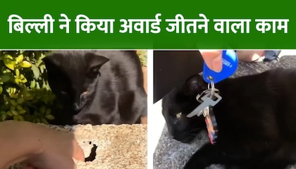 Billi wali discount funny videos