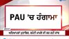 Ludhiana PAU News: ਪੀਏਯੂ ਦੇ ਪ੍ਰੋਫੈਸਰ 'ਤੇ ਲੱਗੇ ਜਿਨਸੀ ਸ਼ੋਸ਼ਣ ਦੇ ਇਲਜ਼ਾਮ, ਆਹਮੋ-ਸਾਹਮਣੇ ਹੋਏ ਅਧਿਆਪਕ ਤੇ ਵਿਦਿਆਰਥੀ