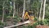 Shimla News: हिमाचल में बड़ा फैसला, आम सहित कई पेड़ों की कटाई पर लगी रोक