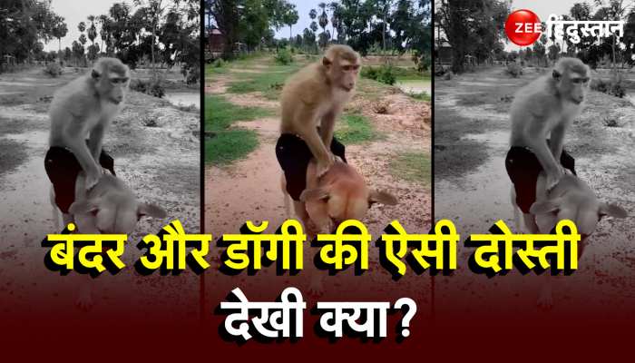 Viral Video: बंदर और डॉगी की ऐसी दोस्ती देखी क्या?