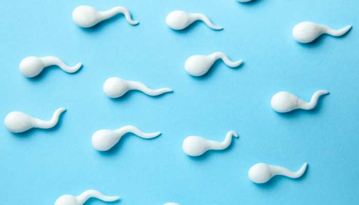 Folate की कमी से पुरुषों में Sperm Count हो जाते हैं कम, खाना शुरू करें 5 तरह के फूड