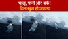 बर्फ में गड्ढा कर पोलर बीयर ने की ऐसी मस्ती, सफेल भालू का वीडियो हुआ वायरल