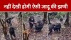 Wildlife Viral Video: चिम्पैंजी के बच्चों ने एक दूसरे को दी जादू की झप्पी