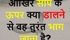 Quiz: आखिर सांप के ऊपर क्या डालने से वह तुरंत भाग जाता है?