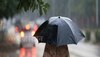 Rajasthan Weather Update: इन 18 जिलों में अलर्ट जारी, मौसम विभाग ने दिए बारिश के संकेत