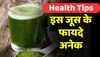 Wheat Grass Juice: खाली पेट पिएं ये जूस, इन बीमारियों से मिलेगा छुटकारा