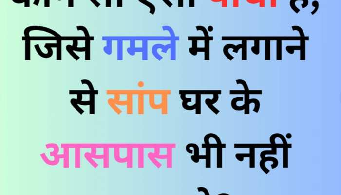 वह कौन सा पौधा है, जिसे घर में लगाने से आसपास भी नहीं फटकते सांप?