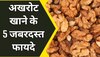 Walnut Benefits: दिमाग से लेकर आंखें तेज करने तक, Tocopherols से भरपूर अखरोट खाने से मिलेंगे 5 जबरदस्त फायदे