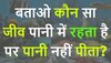 Quiz: वो कौन सा जीव है जो पानी में रहता है लेकिन पानी ही नहीं पीता?