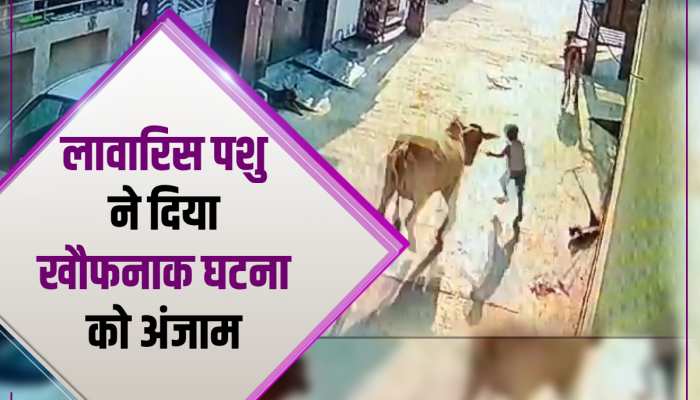 Animal Viral Video: सावधान! यमराज बनकर गलियों में घूम रहे लावारिस पशु