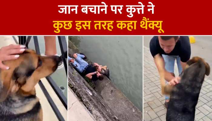 Animal Viral Video: शख्स ने बचाई कुत्ते की जान, दिल जीत लेगा थैंक्यू का अंदाज 