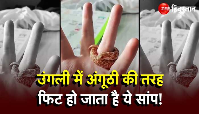 Snake Video: शख्स ने अंगूठी की तरह उंगली में पहन लिया सांप!