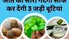 Ayurvedic Herbs: आंत की सारी गंदगी साफ करके बाहर निकाल देंगी 3 जड़ी बूटियां, सैंकड़ों बीमारियों का खतरा होगा कम