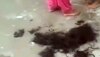 Hamirpur News: हिमाचल से शर्मशार करने वाला मामला आया सामने, महिला के काटे बाल फिर मुंह काला कर घुमाया