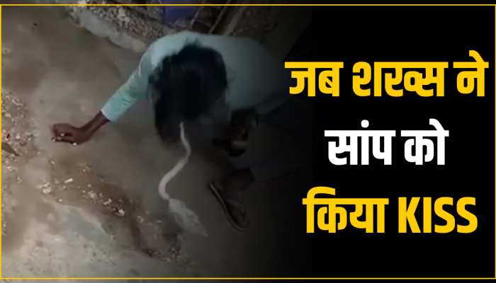 Viral Video: सांप को Kiss करना शख्स को पड़ा मंहगा, चुकानी पड़ गई बड़ी कीमत 