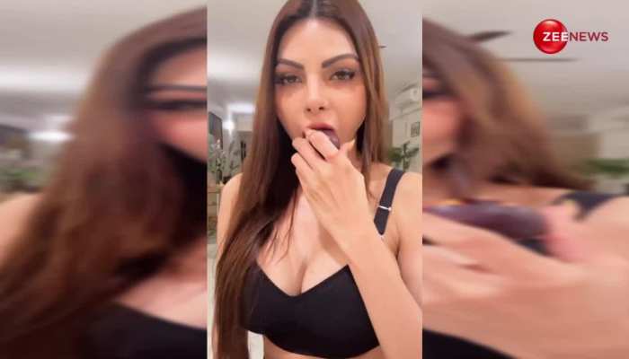 Sherlyn Chopra ने पोस्ट किया बेहद बोल्ड वीडियो, बोलीं - '...हॉटनेस पिघल रही है हमारी' 