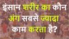 GK Quiz: मानव शरीर का कौन अंग सबसे ज्यादा काम करता है?