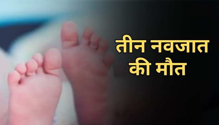 Dhanbad News: ढाई घंटे में तीन नवजात की मौत से मचा हड़कंप, धनबाद के SNMMCH का मामला Dhanbad News: ढाई घंटे में तीन नवजात की मौत से मचा हड़कंप, धनबाद के SNMMCH का मामला