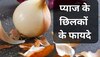 बेकार समझकर कचरे में न फेंकें प्याज के छिलके, इस तरह यूज करेंगे तो होंगे फायदे