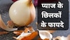 बेकार समझकर कचरे में न फेंकें प्याज के छिलके, इस तरह यूज करेंगे तो होंगे फायदे