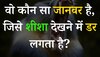 Quiz: आखिर किस जानवर को शीशा देखने में डर लगता है?