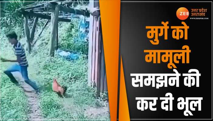 Viral Video: मुर्गे ने बंदे को कुत्ते की दौड़ाया, बेमतलब मसखरी पड़ गई भारी Viral Video: मुर्गे ने बंदे को कुत्ते की दौड़ाया, बेमतलब मसखरी पड़ गई भारी