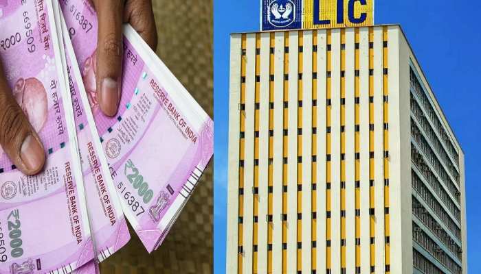 LIC Policy: अब हर युवा बन सकता है करोड़पति, बस चार साल तक करना ये काम