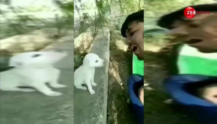 Dog Singing: कभी देखा है गाता हुआ कुत्ता, वीडियो में सुर से सुर मिलाता दिखा मासूम