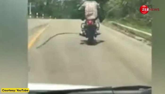 थाइलैंड की सड़क पर बाइक दौड़ा रहा था शख्स तभी सांप ने उड़कर कर दिया अटैक, देखें वायरल वीडियो