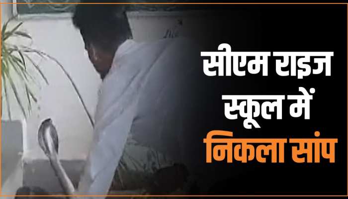 Viral video: CM राइज स्कूल में निकला कोबरा सांप, रविवार होने से बाल-बाल बचे बच्चे Viral video: CM राइज स्कूल में निकला कोबरा सांप, रविवार होने से बाल-बाल बचे बच्चे