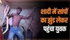 Snake Video: शादी में सांपों का जखीरा ले आया युवक, देखिए फिर क्या हुआ