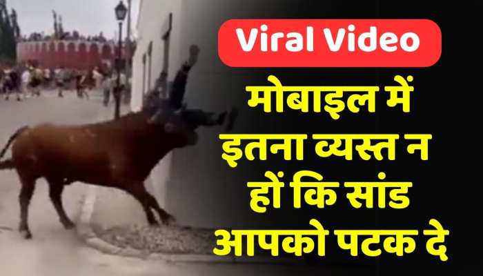Saand Ka Video: इस लड़की के लिए मोबाइल बना जान का दुश्मन! वीडियो देख रह जाएंगे सन्न Saand Ka Video: इस लड़की के लिए मोबाइल बना जान का दुश्मन! वीडियो देख रह जाएंगे सन्न