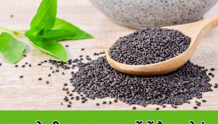 basil seeds benefits for blood pressure control and weight loss